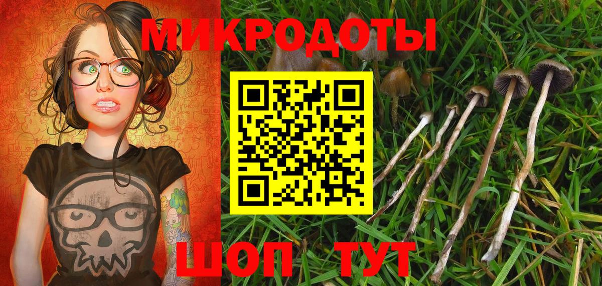 Семёнов  Галлюциногенные грибы Cubensis  Вход с VPN 